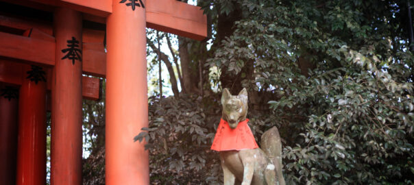 神社に行くことがおすすめである理由